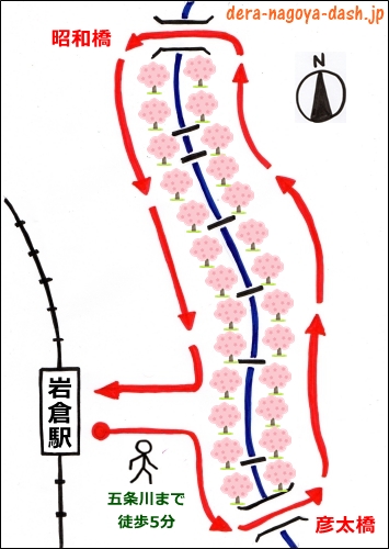 岩倉五条川の桜並木(おすすめの場所・お散歩コース)