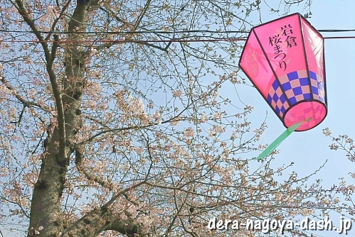 [五条川]岩倉桜祭り