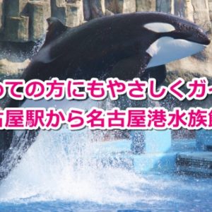 名古屋駅から名古屋港水族館への行き方まとめ