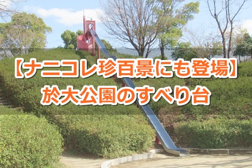於大公園(東浦町)滑り台ガイド01