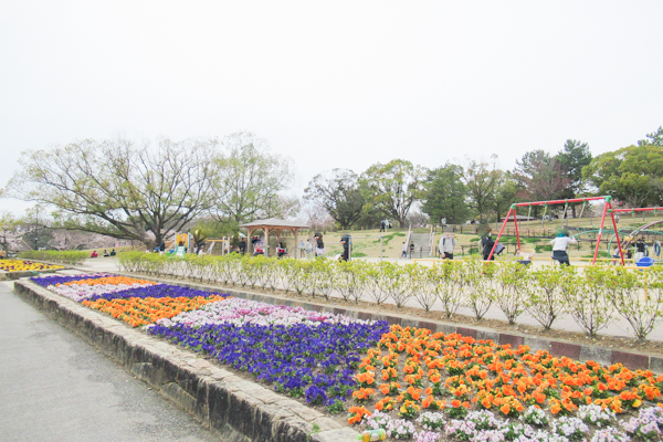 洲原公園(愛知県刈谷市)花壇と遊具広場01