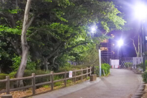 鶴舞公園(名古屋市昭和区)夜の八幡山古墳01