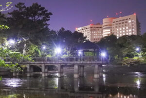 鶴舞公園(名古屋市昭和区)夜の竜ヶ池・浮見堂01