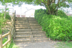 洲原公園(愛知県刈谷市)ウォーキングコース(散策路)階段01