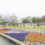 洲原公園(愛知県刈谷市)花壇と遊具広場01